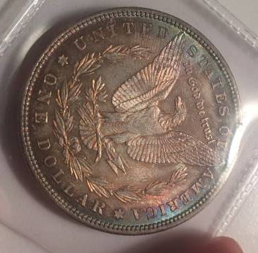 Eye-Candy-Corner:-Post-Your-Toned-Coins!